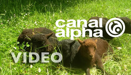media_video